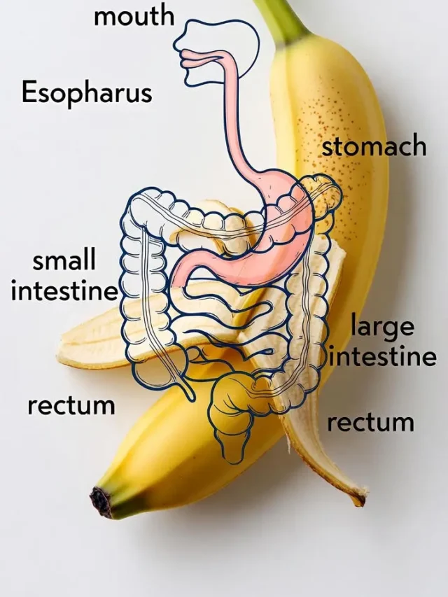 सर्दियों में केला खाने के फायदे